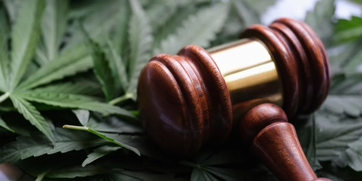 Cannabis Gesetz: Was Arbeitgebende wissen müssen