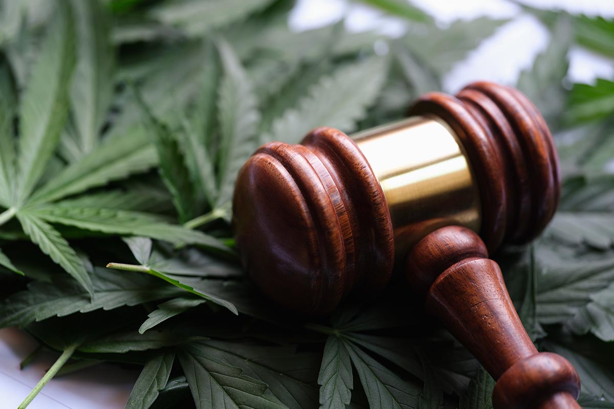 Cannabis Gesetz: Was Arbeitgebende wissen müssen